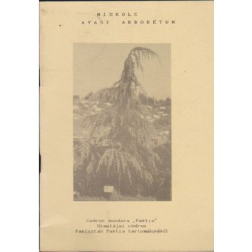 Miskolc - Avasi Arborétum