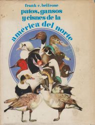 Patos, gansos y cisnes de la América del Norte
