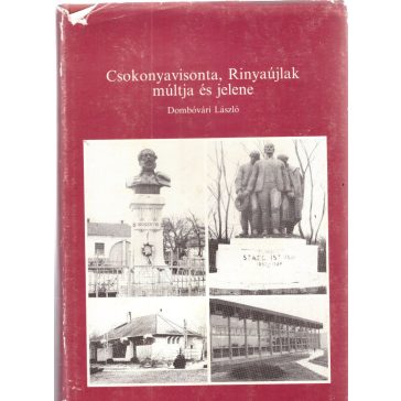 Csokonyavisonta, Rinyaújlak múltja és jelene