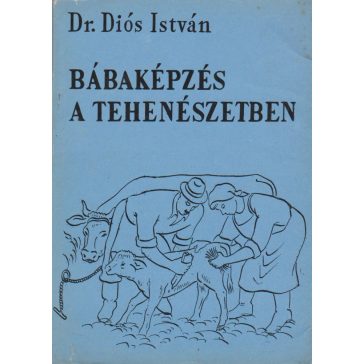 Bábaképzés a tehenészetben