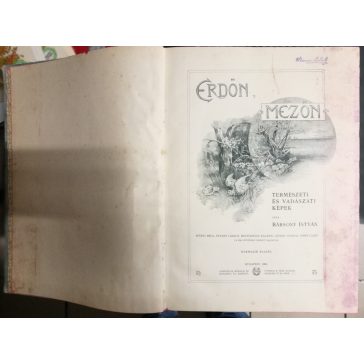Erdőn, mezőn