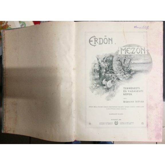 Erdőn, mezőn