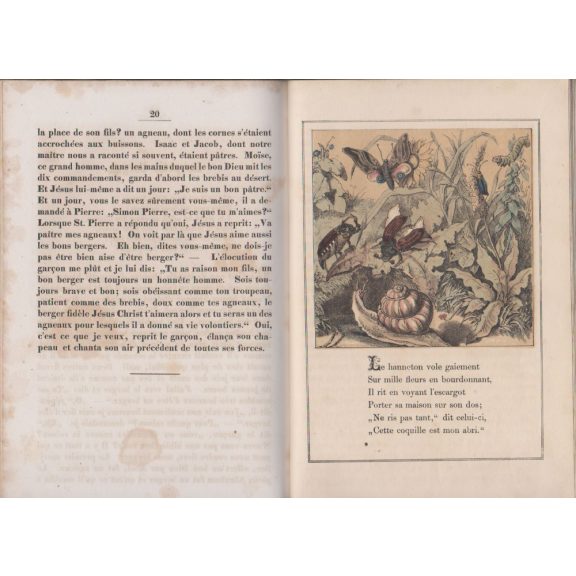 Collection d'animaux