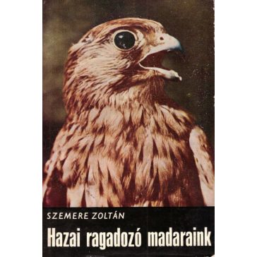Hazai ragadozó madaraink