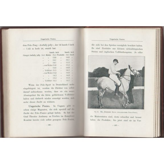 Das Polobuch