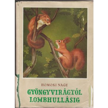 Gyöngyvirágtól lombhullásig