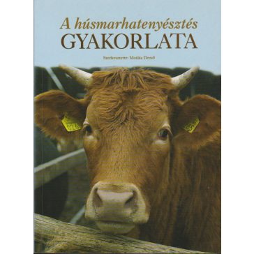 A húsmarhatenyésztés gyakorlata
