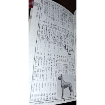 Bővített és átdolgozott Japán-Angol szótár