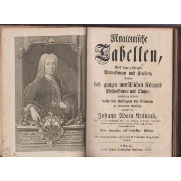   Anatomische Tabellen, nebst dazu gehoerigen Anmerkungen und Kupfern, Daraus des ganzen menschlichen Körpers, Beschaffenheit und Nutzen...