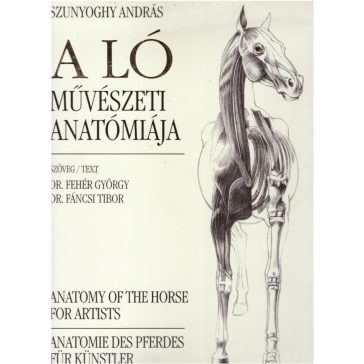 A ló művészeti anatómiája