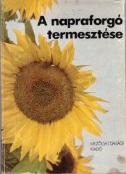 A napraforgó termesztése