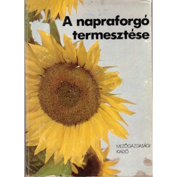 A napraforgó termesztése