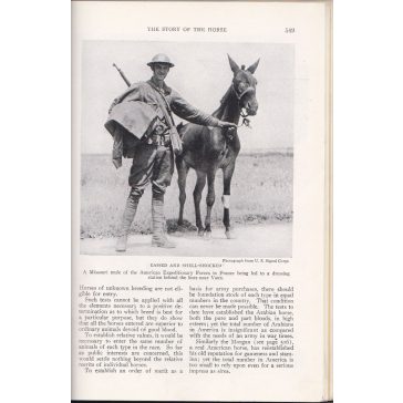 National Geographic 1923 II. (July-December)