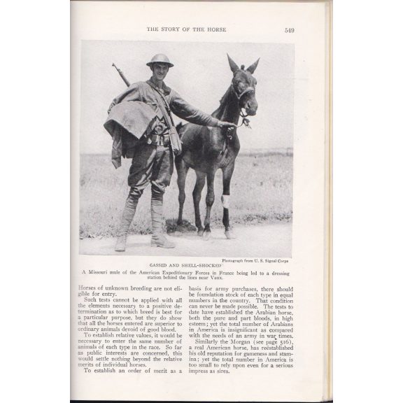National Geographic 1923 II. (July-December)