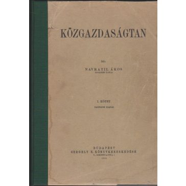 Közgazdaságtan I. kötet