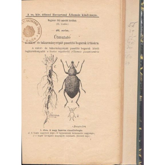 Növénytermesztéstan / Útmutató a cukor- és takarmányrépát pusztító bogarak irtására [sic!] / A talaj okszerű kihasználása / A talaj okszerű kihasználása /  [A vizelet fizikai sajátságai]
