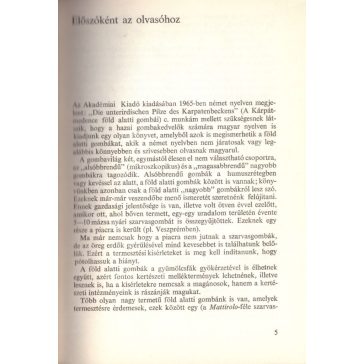 Föld alatti gombavilág