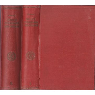 Novella- és regényirodalmunk a Bach-korszakban I-II.