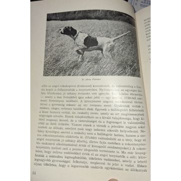 A vadászkutya