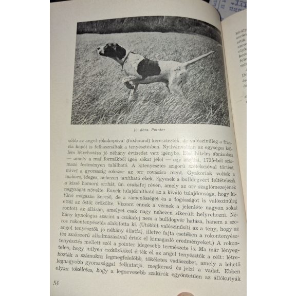 A vadászkutya