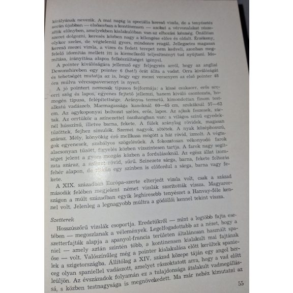 A vadászkutya