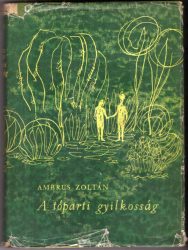 A tóparti gyilkosság A tóparti gyilkosság