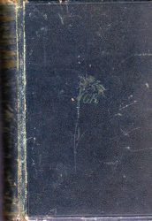 A kétfejű sas lehull