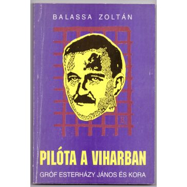 Pilóta a viharban