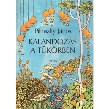 Kalandozás a tükörben
