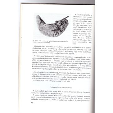 Vadon élő állatok betegségei
