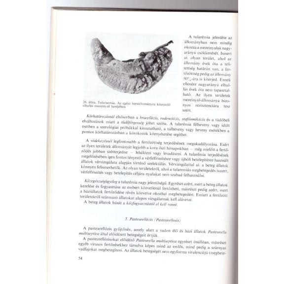 Vadon élő állatok betegségei