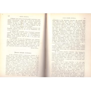 Magyar Nyelvőr 1878 Hetedik kötet