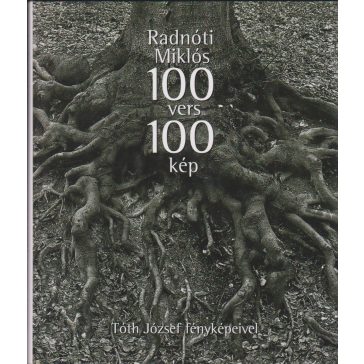 100 vers - 100 kép