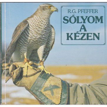 Sólyom a kézen