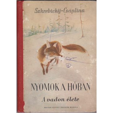 Nyomok a hóban