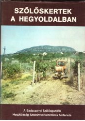 Szőlőskertek a hegyoldalban