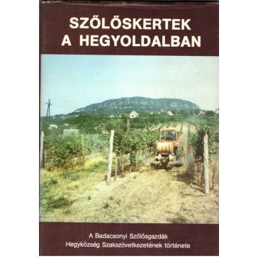 Szőlőskertek a hegyoldalban