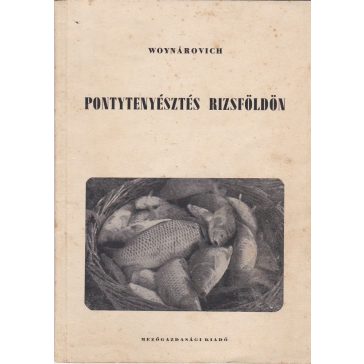 Pontytenyésztés rizsföldön