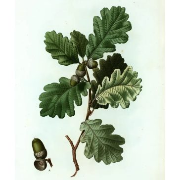 Egyetemi jegyzetek